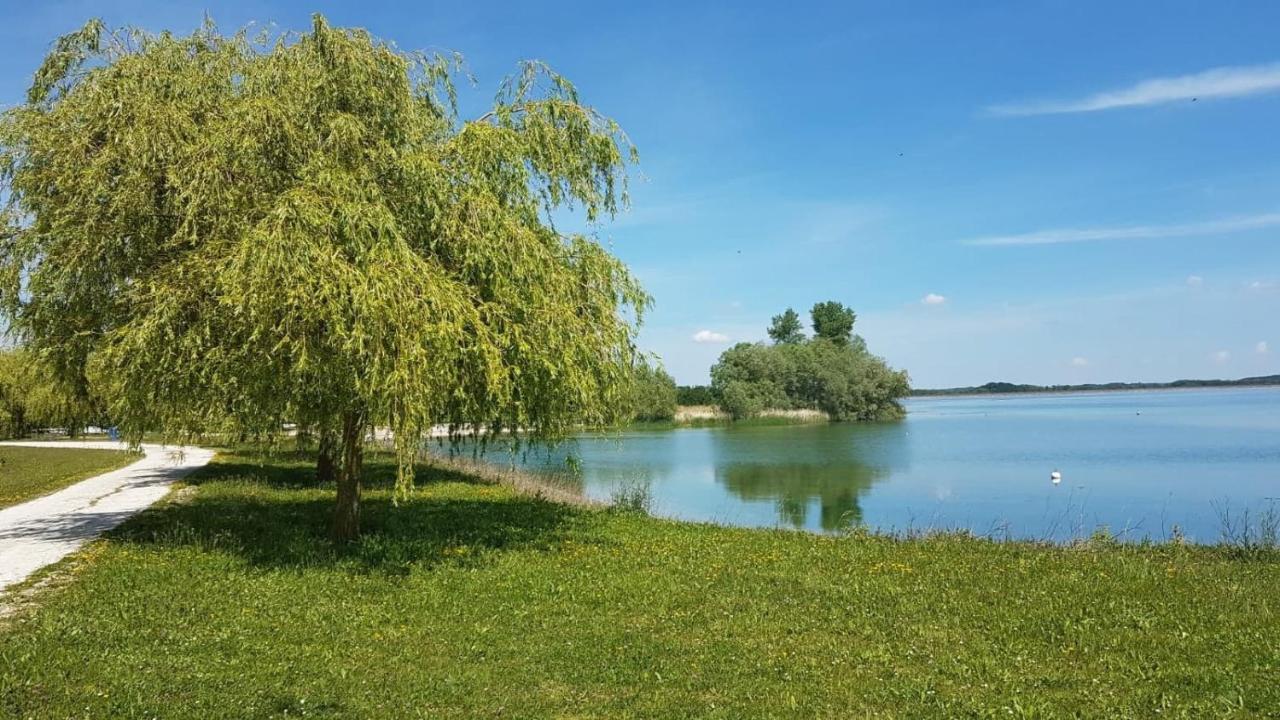 Le Nichoir Lac Du Der Droyes Luaran gambar