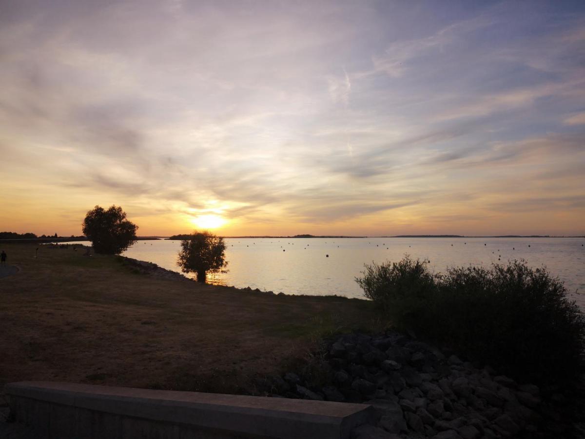 Le Nichoir Lac Du Der Droyes Luaran gambar